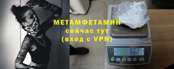 гидра Белокуриха
