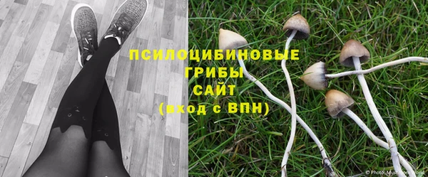 меф Беломорск