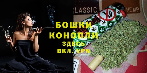 сатива Белоозёрский