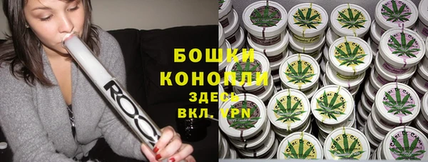 гидра Белокуриха
