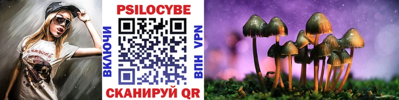 Галлюциногенные грибы прущие грибы  KRAKEN зеркало  Севск 